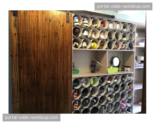 聚焦环保：柏林总决赛场馆承诺实现“零废弃物”赛事运营