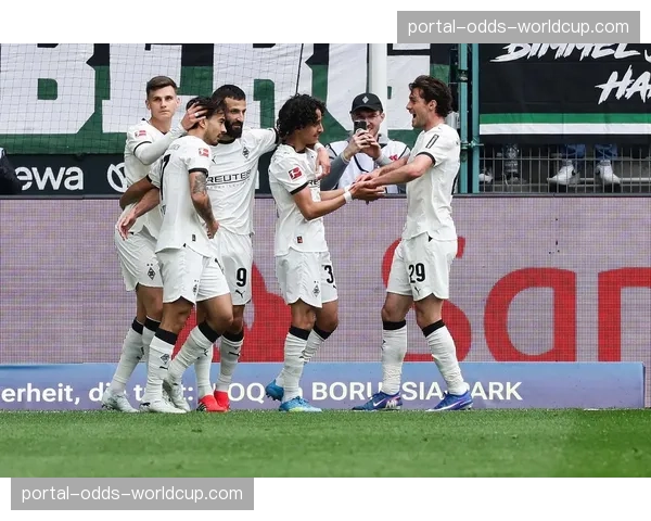 门兴格拉德巴赫2-2海登海姆，双方握手言和